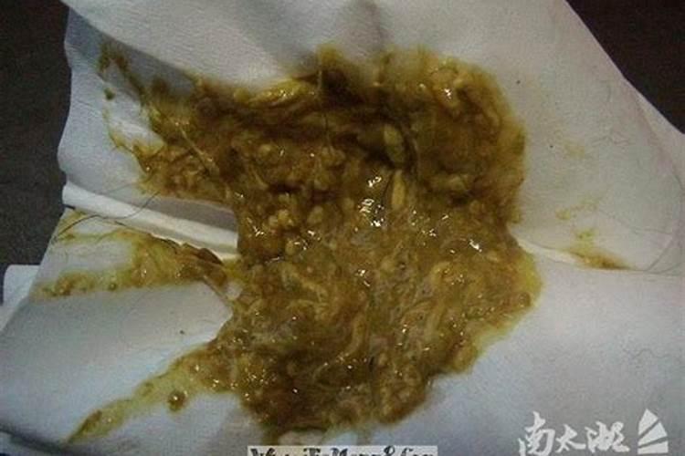 十二星座谁配王俊凯