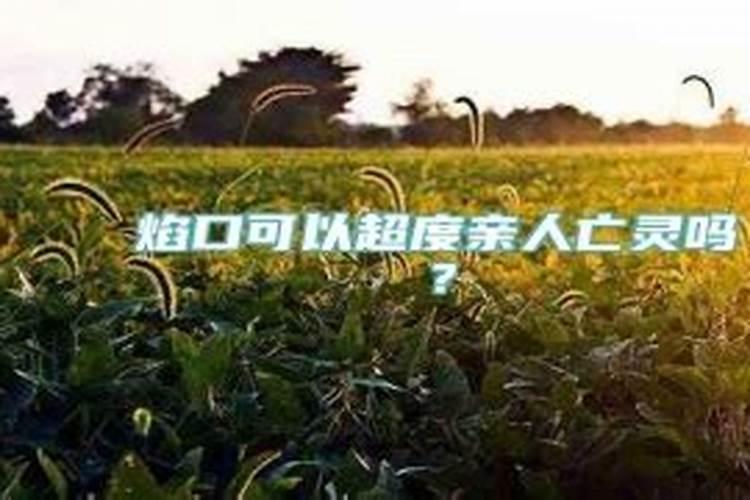 梦见树开花了预兆什么意思啊