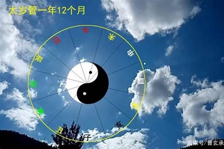 12星座的倒霉数字是几