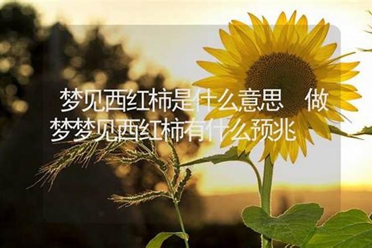 梦见西红柿是什么意思