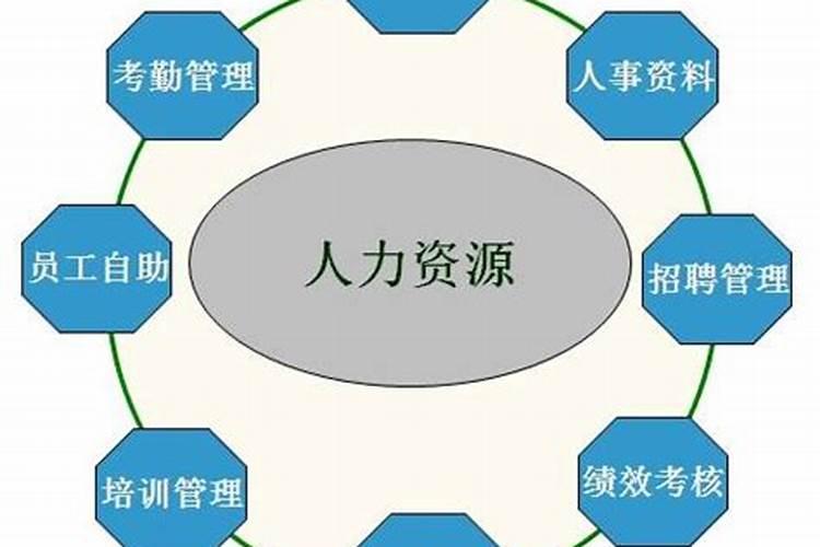 人力资源五行属什么