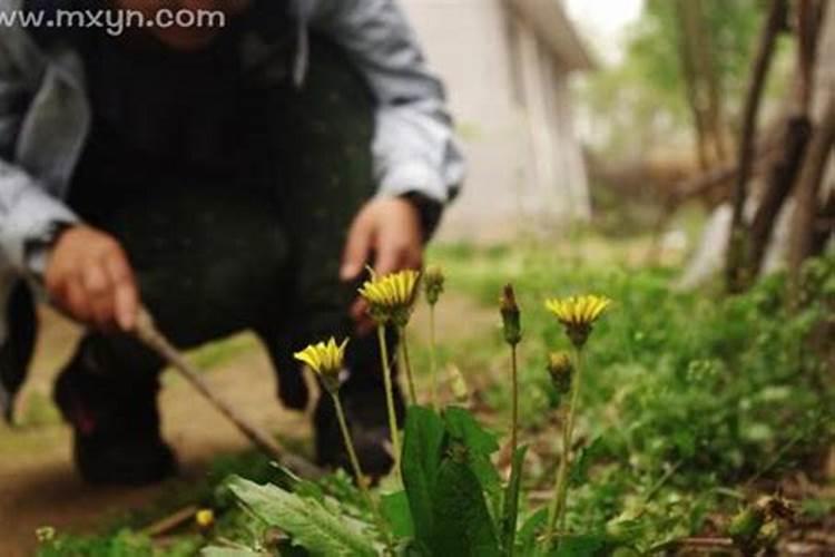 今天属相是什么2021年3月28日