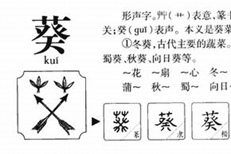 葵的五行属什么