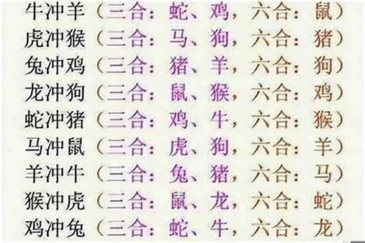 马的八字跟牛的八字合吗