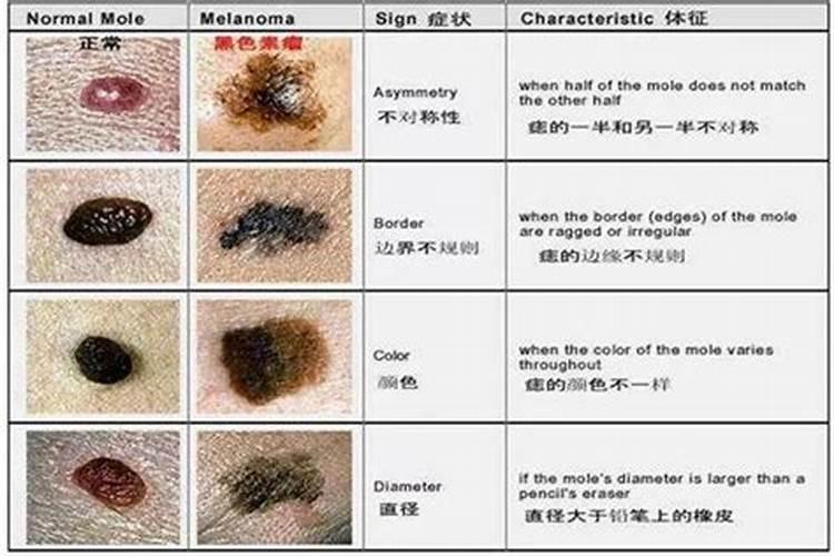 金牛座十一月的运势怎么样