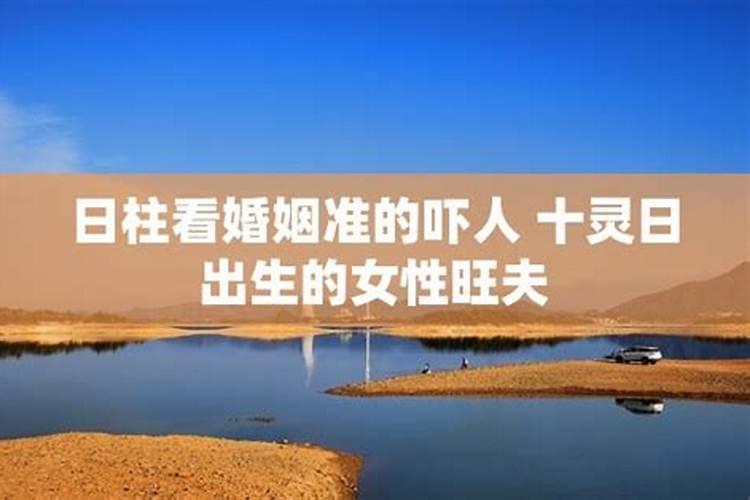 属马的2023年运势怎么样男性婚姻状况