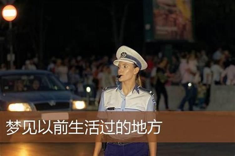 什么生肖喜欢赛跑