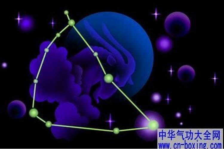 摩羯座是什么象的星座