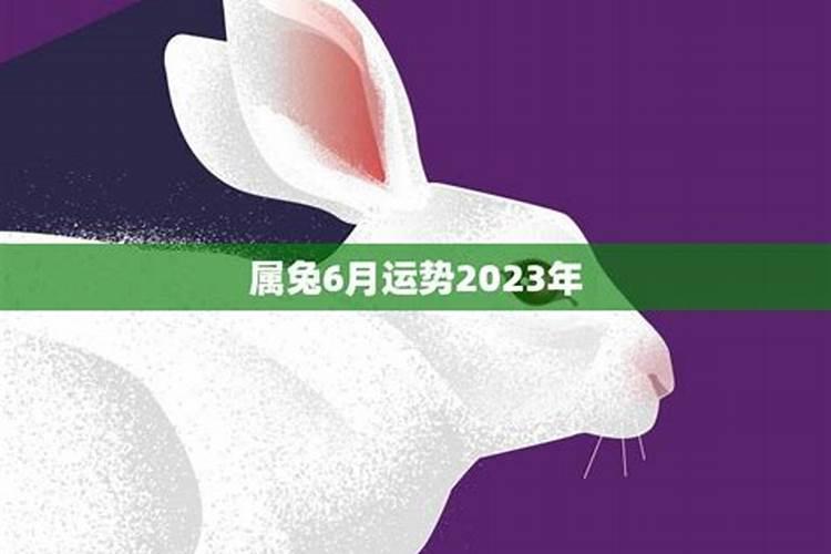 属牛的2024年运势怎么