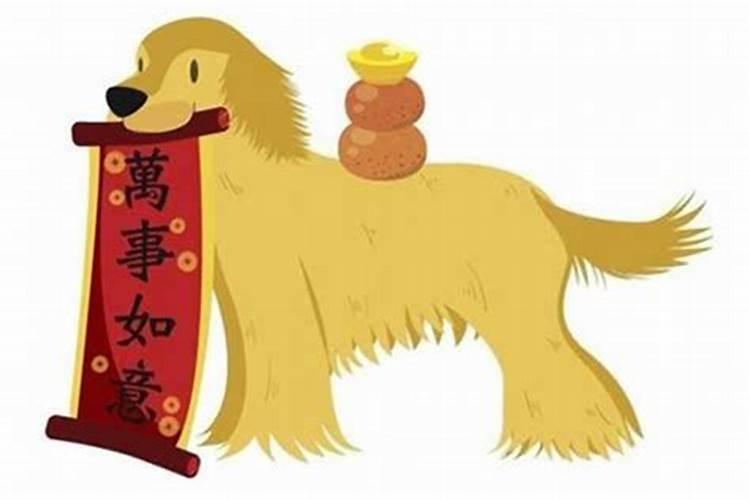 什么生肖与猪相冲相克