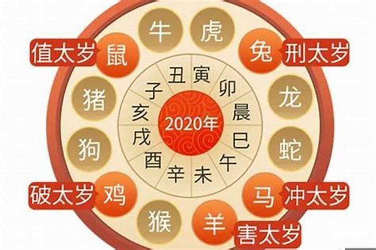 属狗的2023年9月运势如何