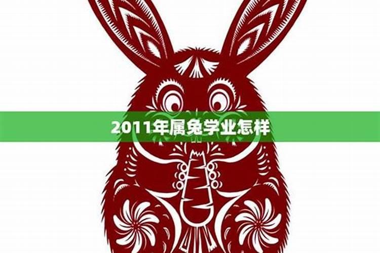 2011年2023属兔的今年几岁了