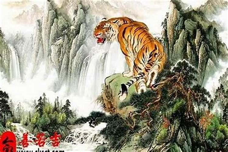 梦见好多猫挠我什么意思