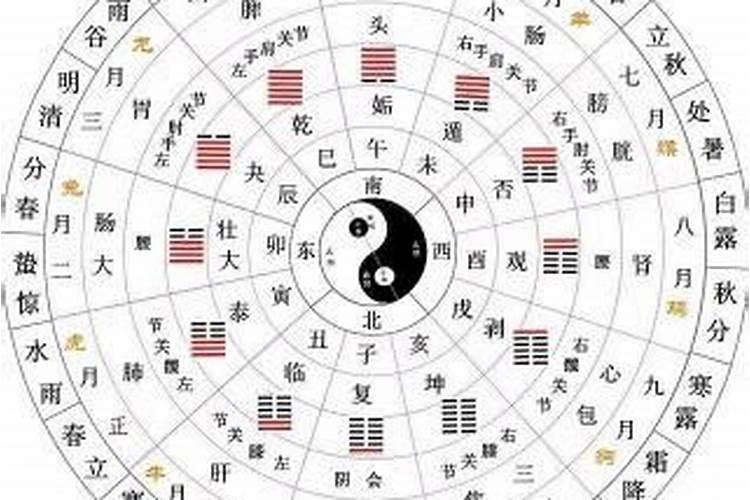 4月11号上升星座是什么