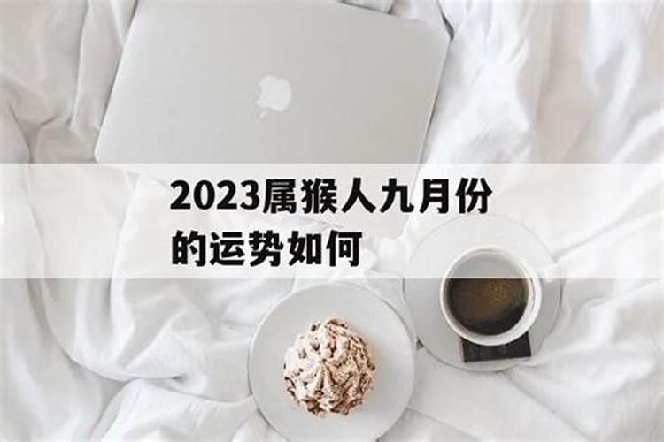 羊年运势2023年运程