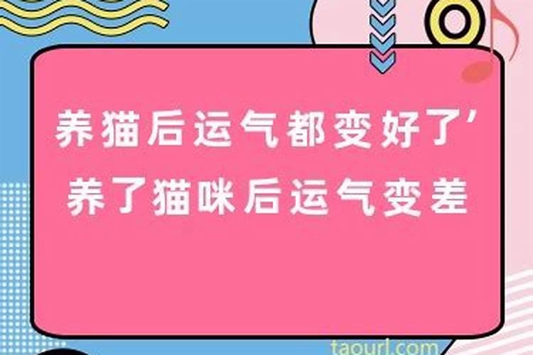 做梦梦到鼻子流血怎么回事儿