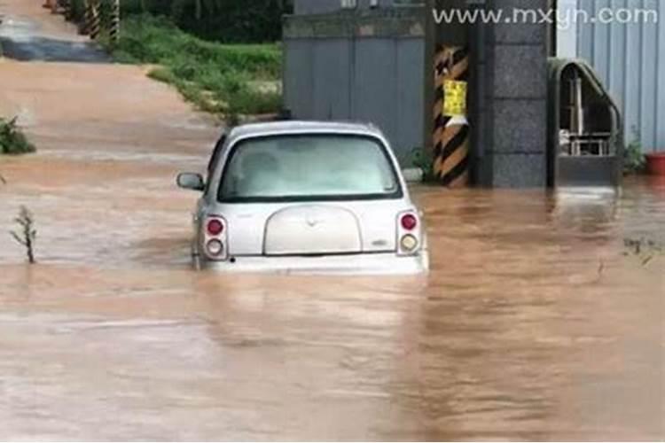 梦见大水淹路在水里