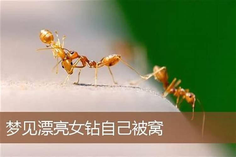 1月13的摩羯上升星座是什么