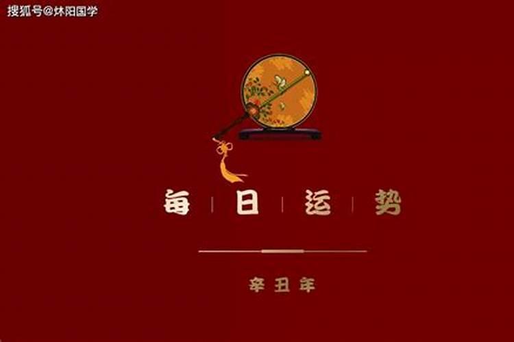 属鼠的今年怎么这么倒霉