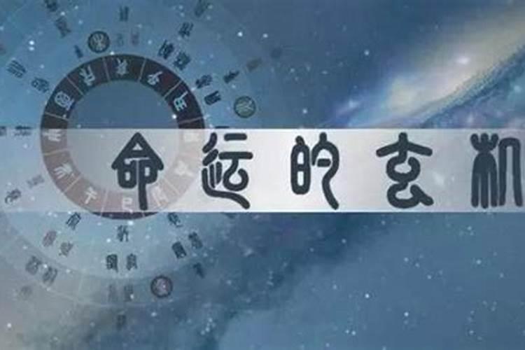 属虎的今年感情运势如何