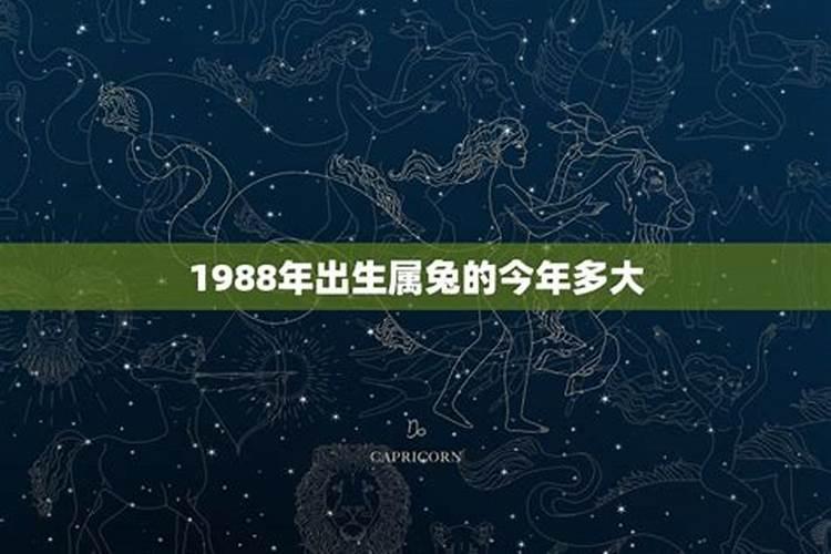 1988属什么生肖今年多大了一生财运如何