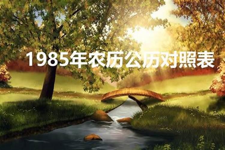 属虎2023年运势及运程月份