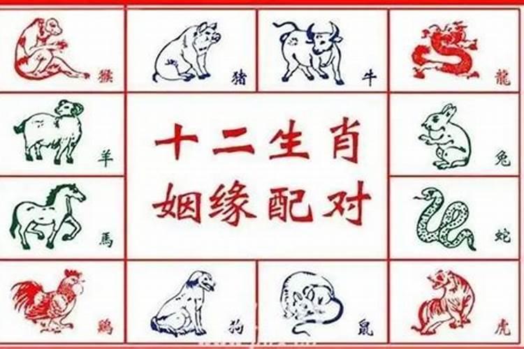 八字怎么看与婆媳的关系