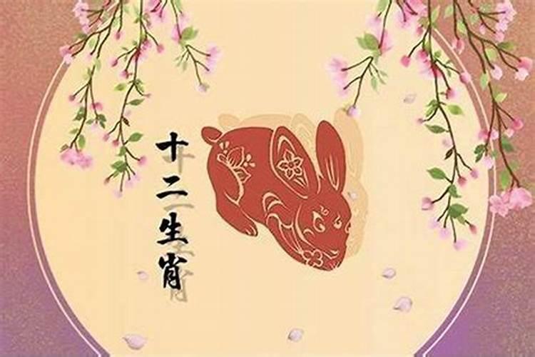 属猪今年适合创业吗