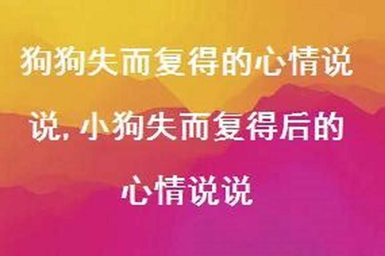 梦见黑色狗是什么意思周公解梦