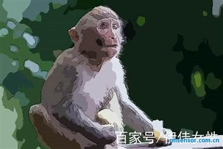 属猴的男92年命运婚姻