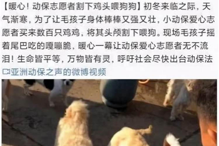 梦到死去的妈妈还活着是什么意思周公解梦