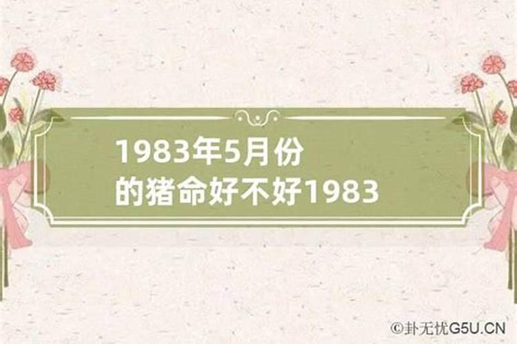 1983年5月9号属猪的什么命