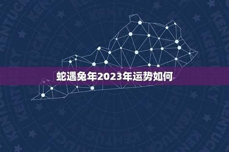 2020即将暴富的生肖男