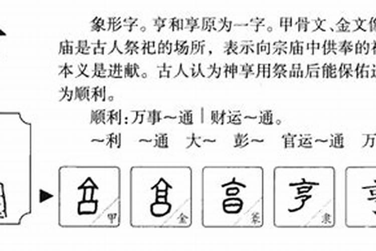 亨五行属什么行