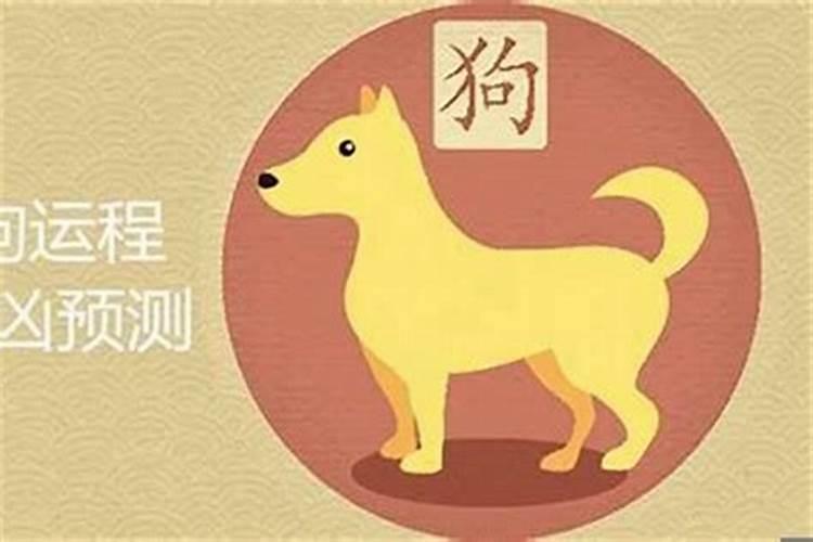 梦见牛下了小牛犊