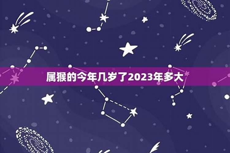 属猴的几岁了2022