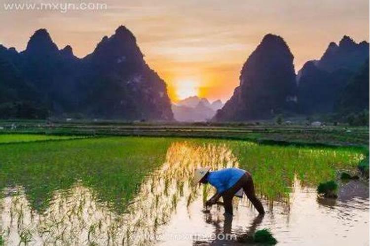 住宅风水重要还是阴宅风水重要