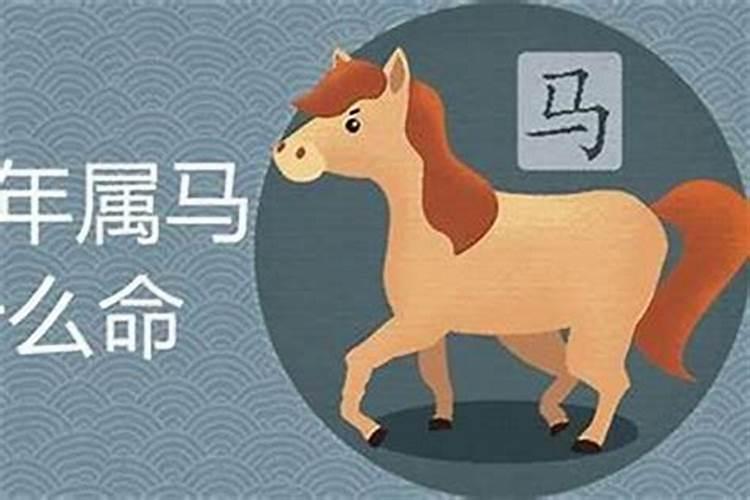 属狗2023年几月份结婚好呢