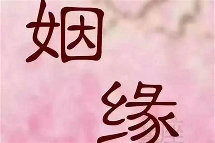 女猪男羊2023感情运势如何