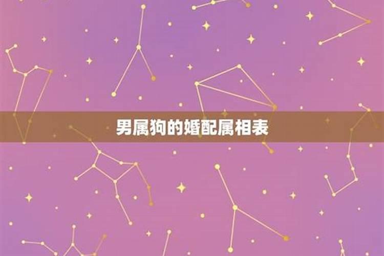 哪个星座女是绿茶