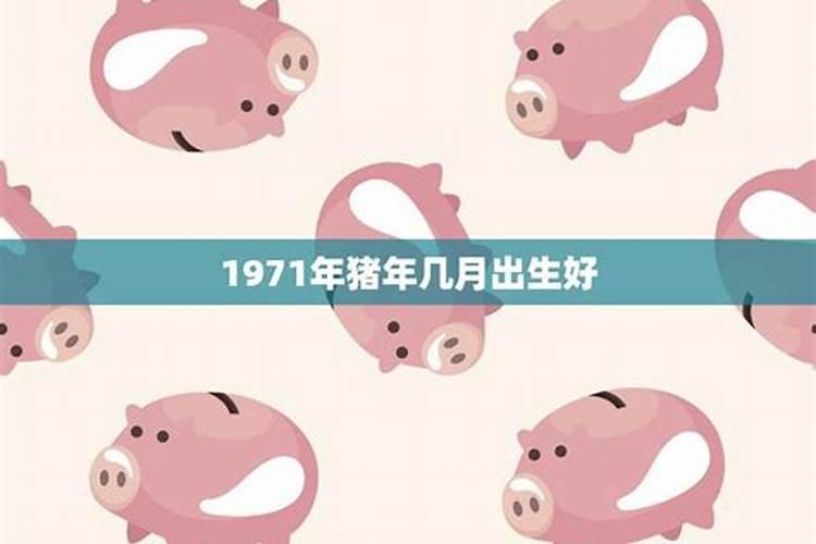 1971年5月猪运势如何