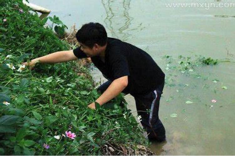 梦见家人去河里玩鱼