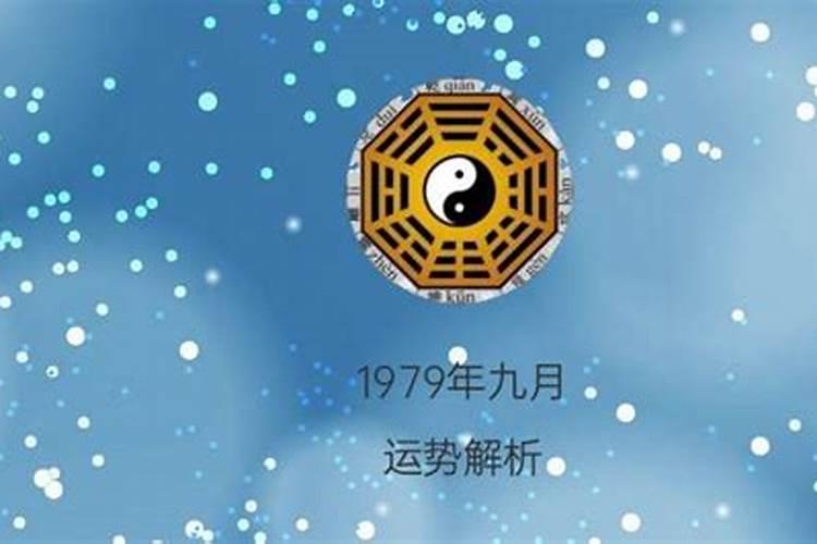 生肖兔的命运一直都很好吗为什么