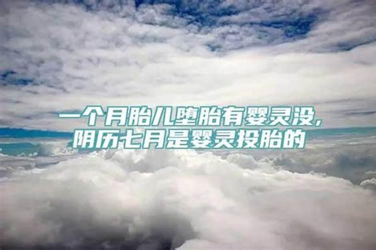 梦见猫扑向自己咬我吓醒了怎么回事