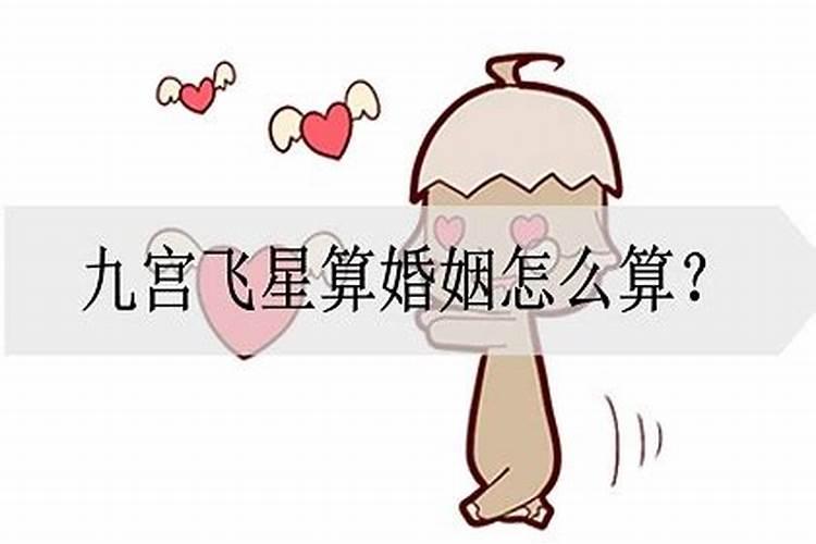 男龙和女鸡属相婚配吗婚姻如何