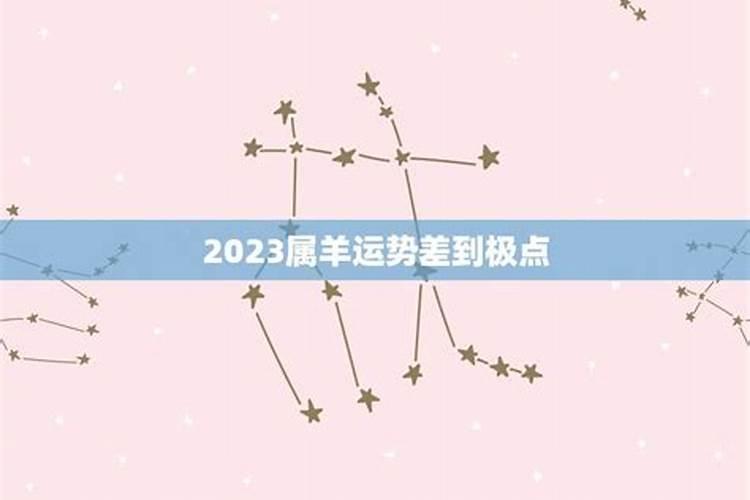 2022属羊运势