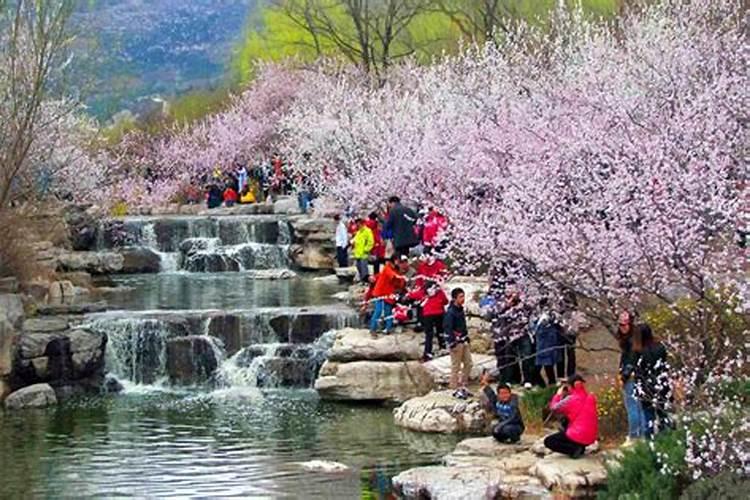 清明节去哪里旅行