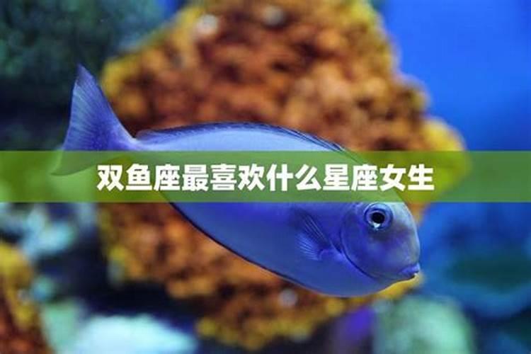 双鱼座最喜欢什么星座