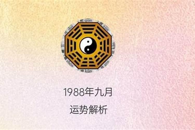 1988年三月十五命