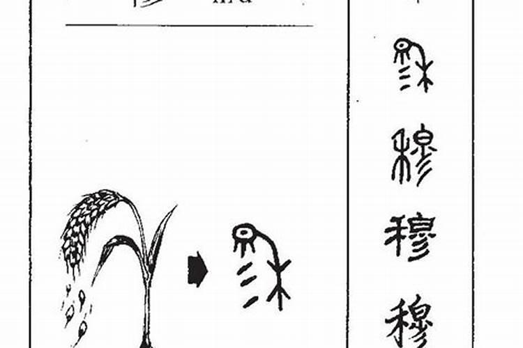 稳字五行属什么